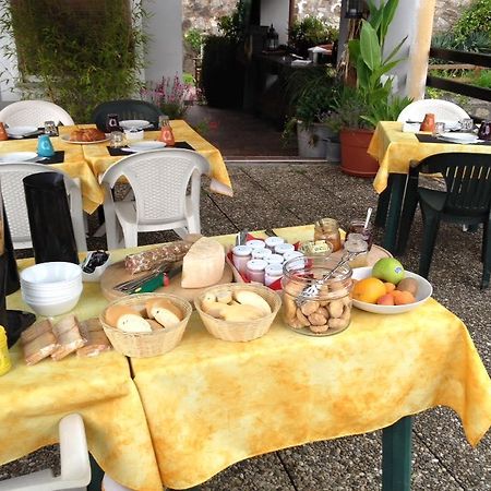 Fattoria Del Pino Bed & Breakfast ออร์ตาซันจูลิโอ ภายนอก รูปภาพ
