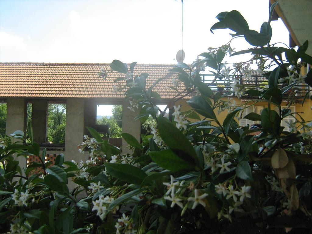 Fattoria Del Pino Bed & Breakfast ออร์ตาซันจูลิโอ ภายนอก รูปภาพ