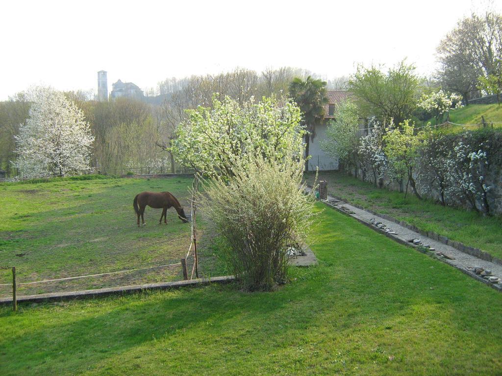 Fattoria Del Pino Bed & Breakfast ออร์ตาซันจูลิโอ ภายนอก รูปภาพ
