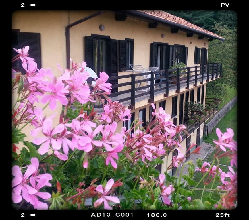 Fattoria Del Pino Bed & Breakfast ออร์ตาซันจูลิโอ ภายนอก รูปภาพ